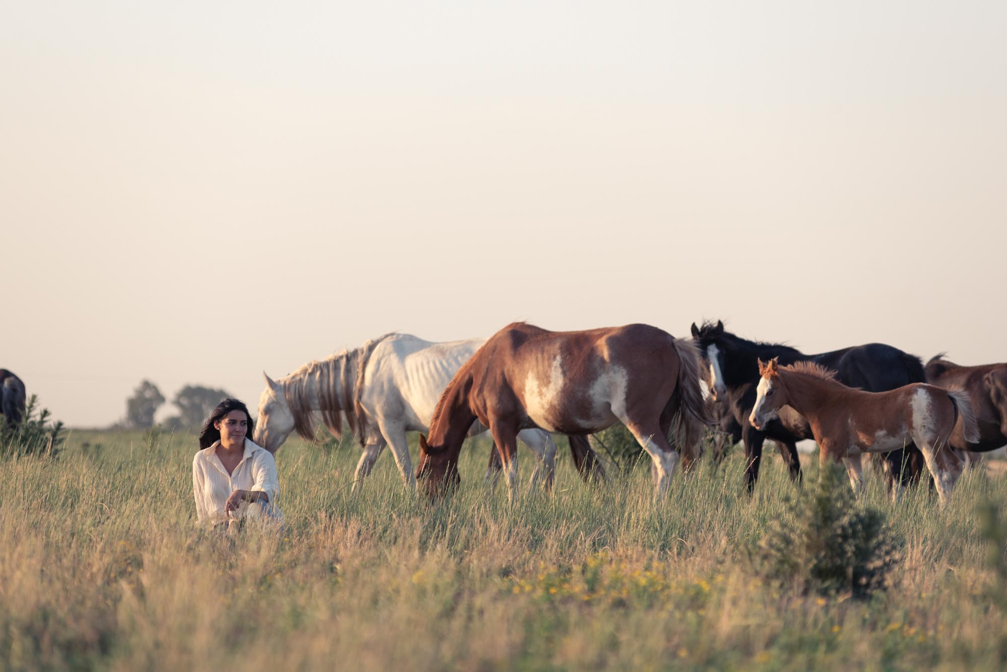 entre manadas de caballos