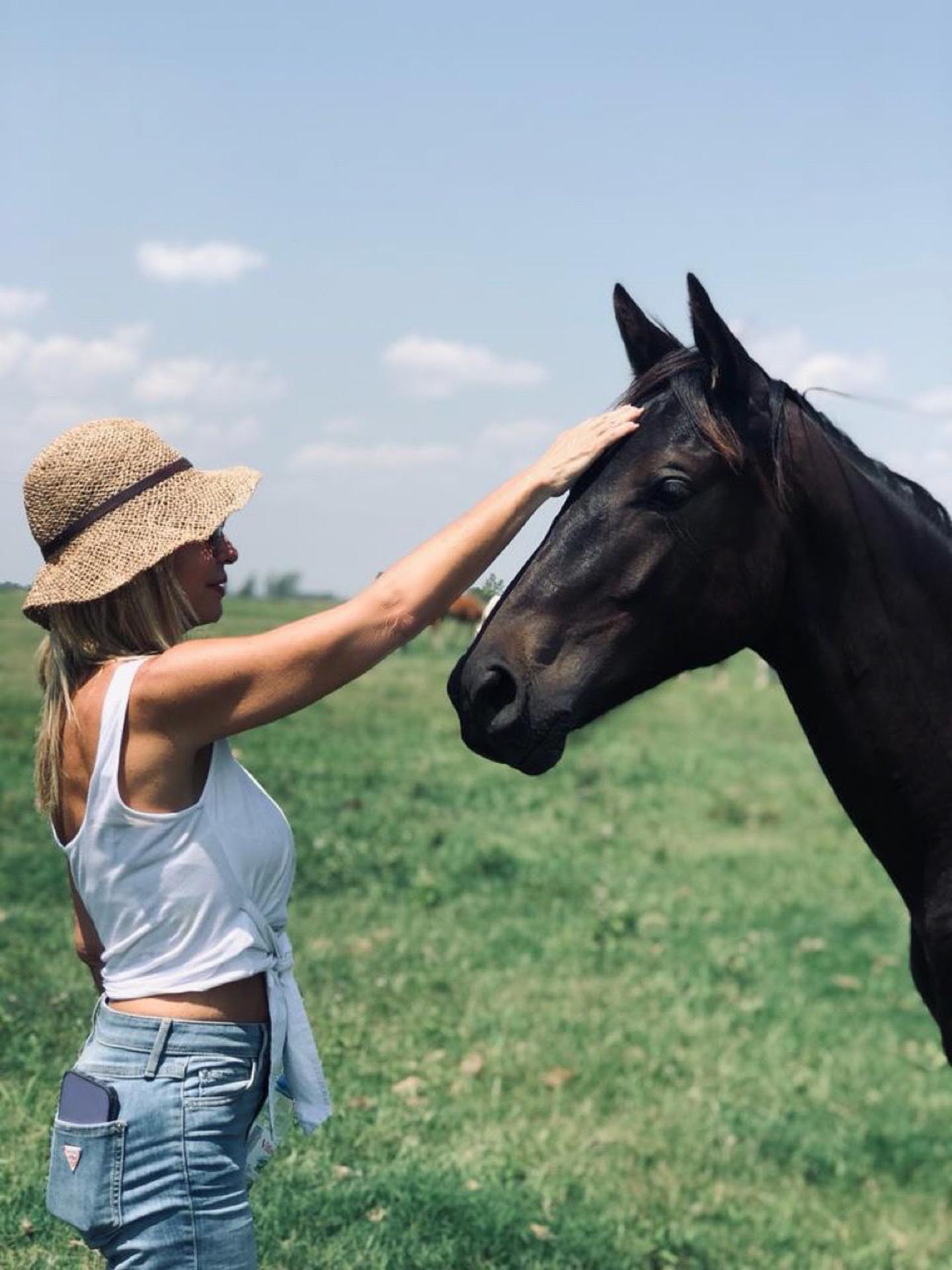 entre manadas de caballos