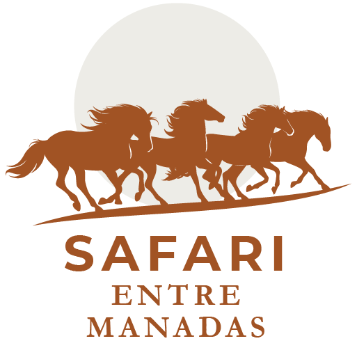 Between Herds of Horses